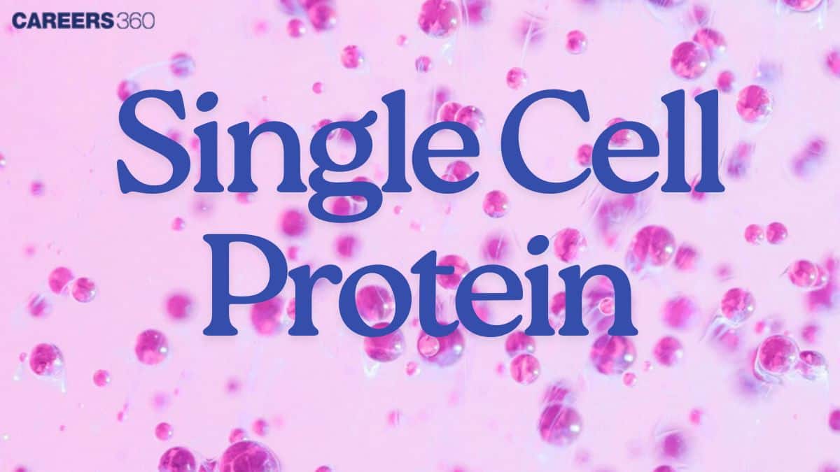 Single Cell Protein